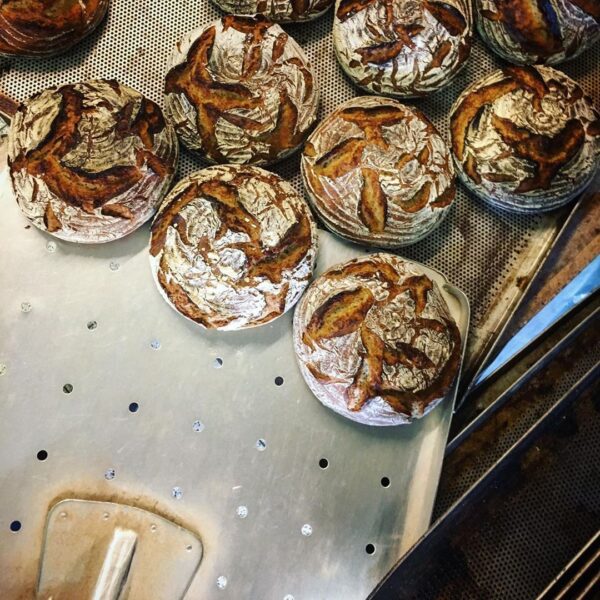 Roggenmischbrot_steinofenbrot_Sylt_Bio_Brot_steinofen_rustikal_sourdough-3-3.jpg Roggenmischbrot_steinofenbrot_Sylt_Bio_Brot_steinofen_rustikal_sourdough-3-3.jpg